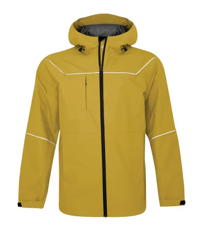 Goldenrod Yellow