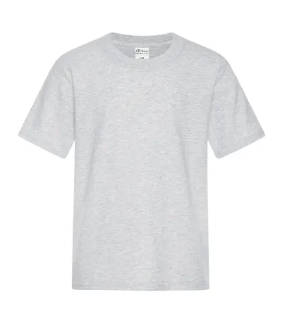 Ash Grey