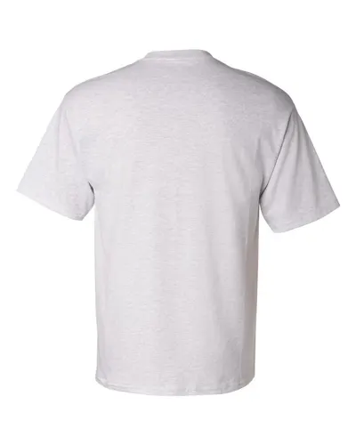 Champion Champion Unisex Classic T-Shirt in Ash, back view